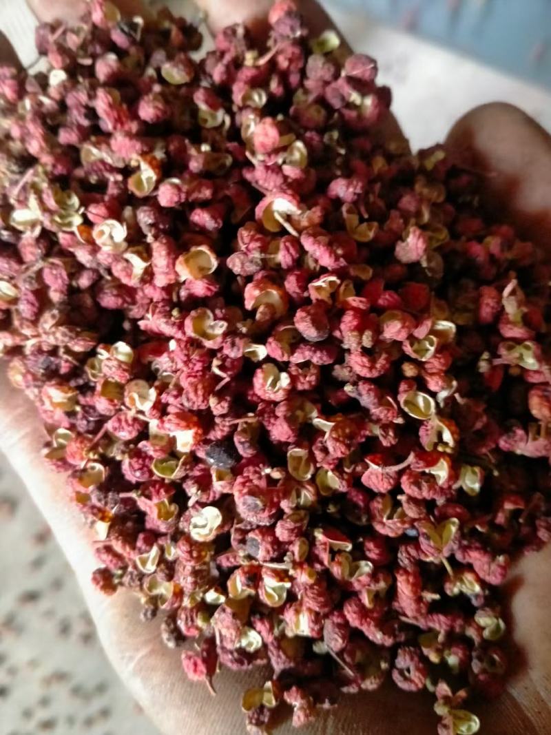 【陕西大红袍花椒火爆款来袭】花椒净货