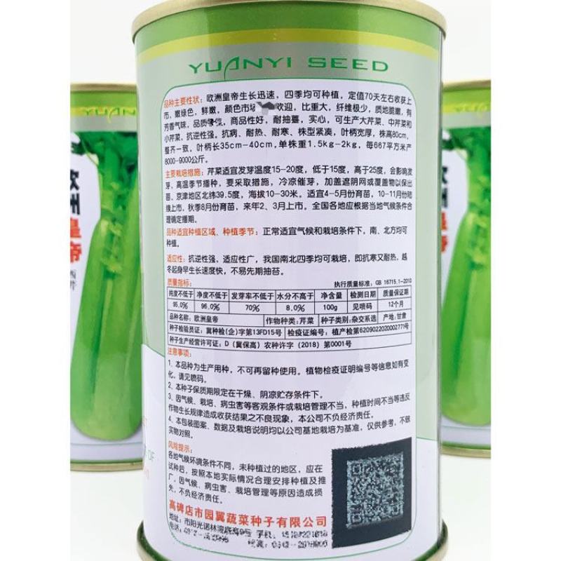 欧洲皇帝西芹种子耐热耐寒实心黄嫩芹菜种子100克