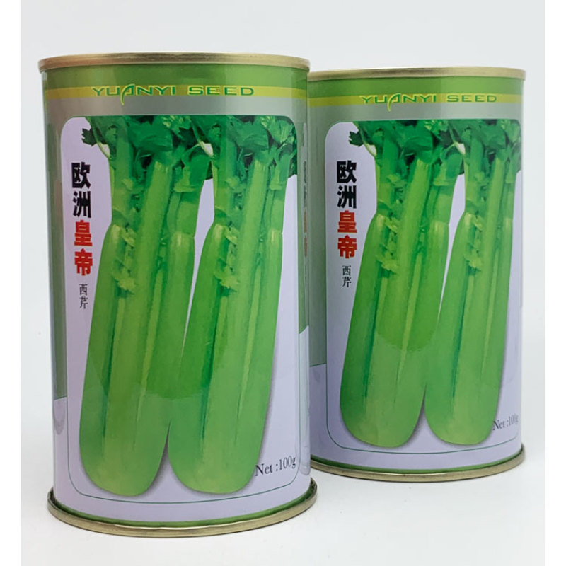 欧洲皇帝西芹种子耐热耐寒实心黄嫩芹菜种子100克