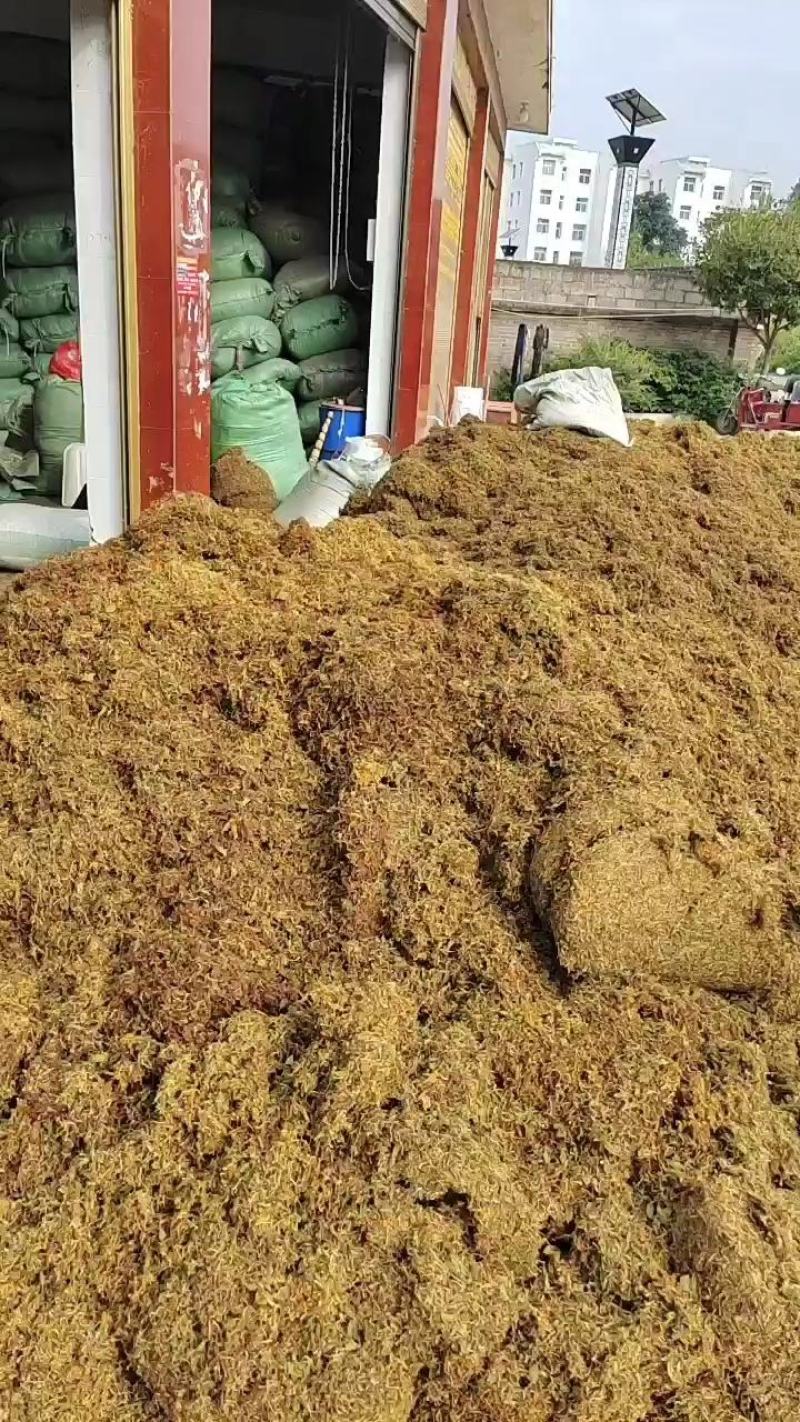 【荐】贵州野生金银花生晒无硫，货源充足，品质保证，欢迎选购