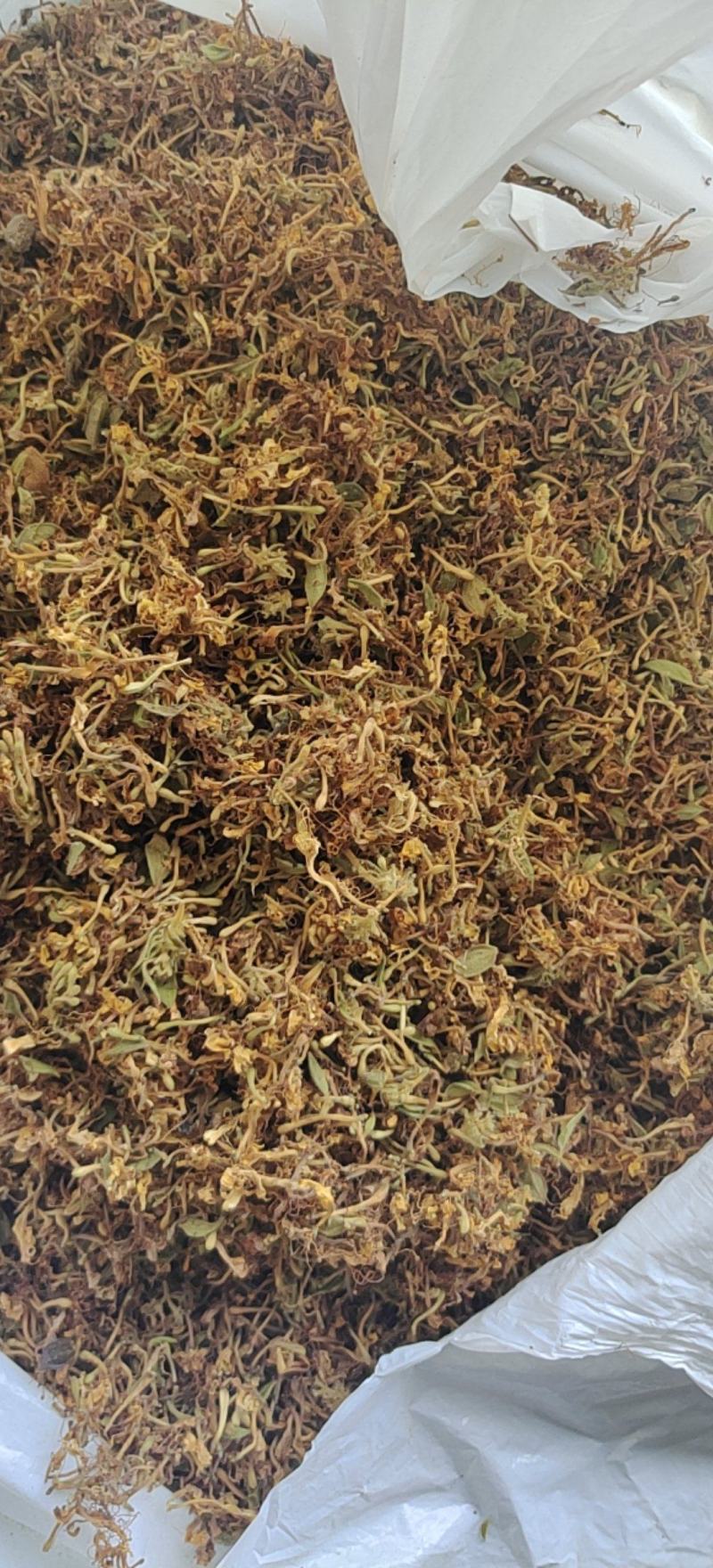 【荐】贵州野生金银花生晒无硫，货源充足，品质保证，欢迎选购
