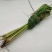 基地直供带杆带叶新鲜香茅草泰式傣式烤鱼烤鸡用料