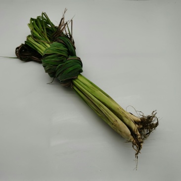 基地直供带杆带叶新鲜香茅草泰式傣式烤鱼烤鸡用料