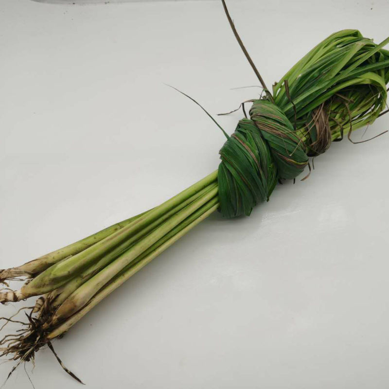 基地直供带杆带叶新鲜香茅草泰式傣式烤鱼烤鸡用料
