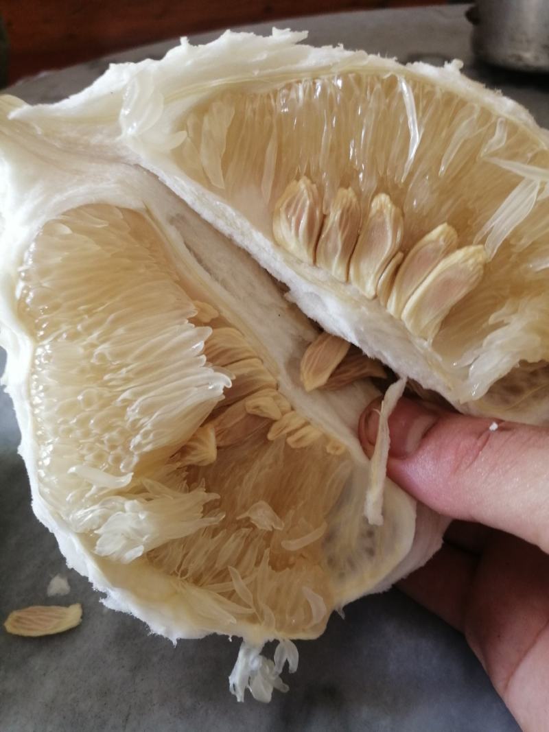 新鲜白肉蜜柚2斤以上自产自销包熟包甜可一件代发