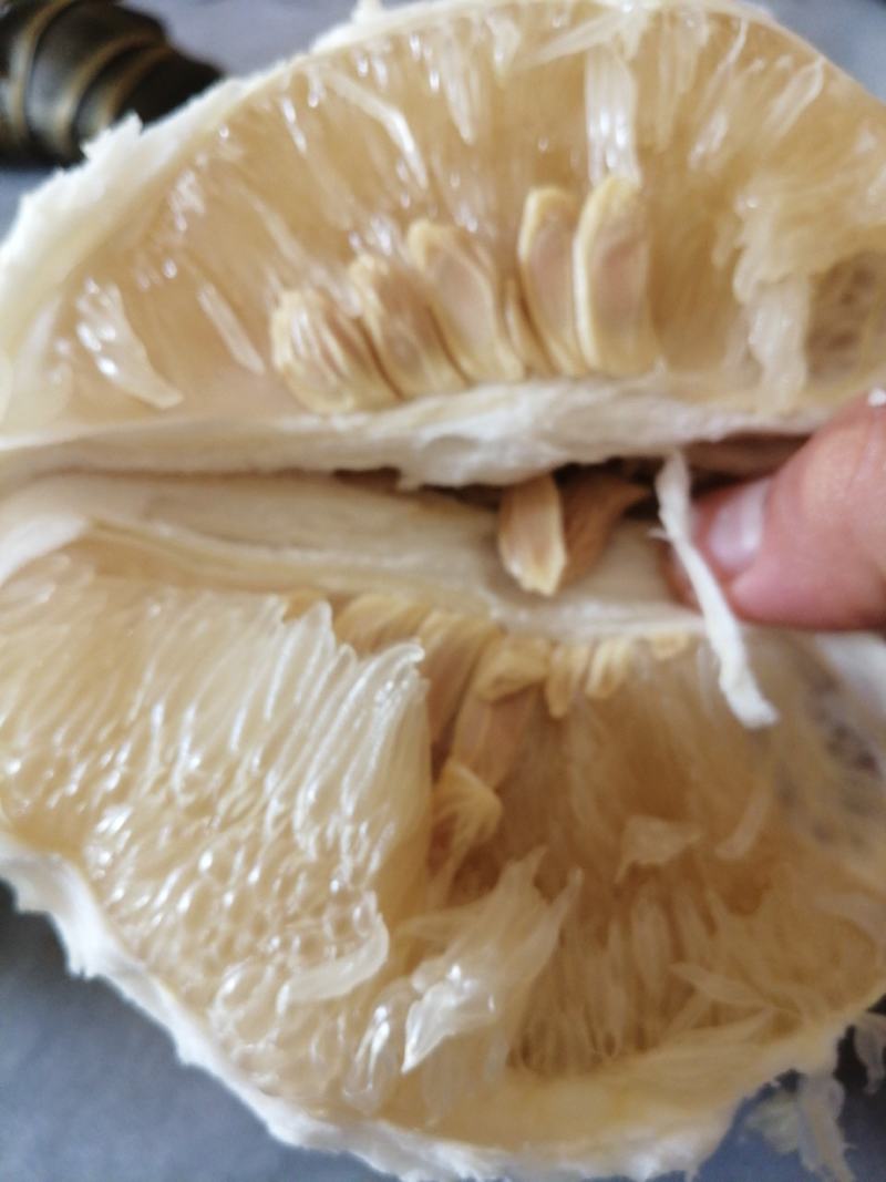 新鲜白肉蜜柚2斤以上自产自销包熟包甜可一件代发