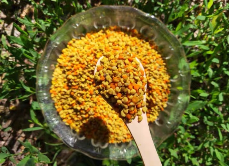 蜂花粉百花蜂花粉食用级蜂场直销假一赔万