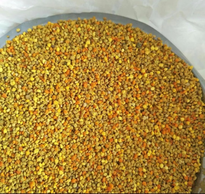 蜂花粉百花蜂花粉食用级蜂场直销假一赔万