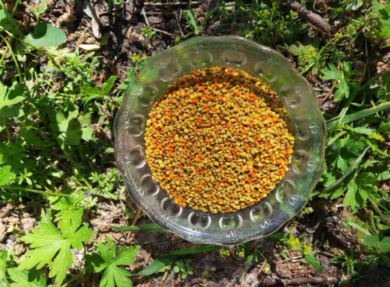 蜂花粉百花蜂花粉食用级蜂场直销假一赔万