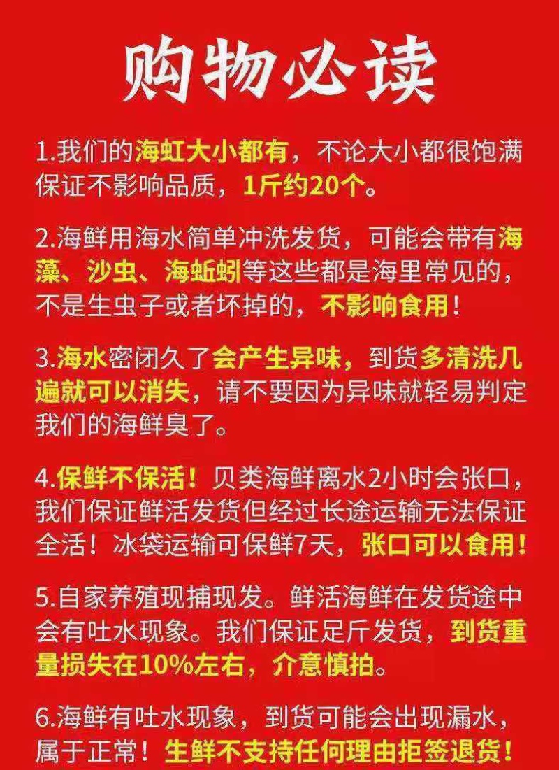 扇贝鲜活新鲜带壳港湾贝现捞海鲜水产贝类小红贝