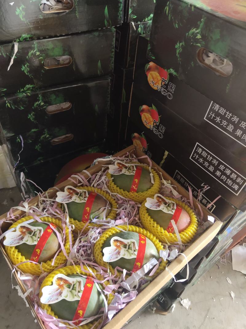 【高碑店新发地-乐航商贸】凯特大礼盒