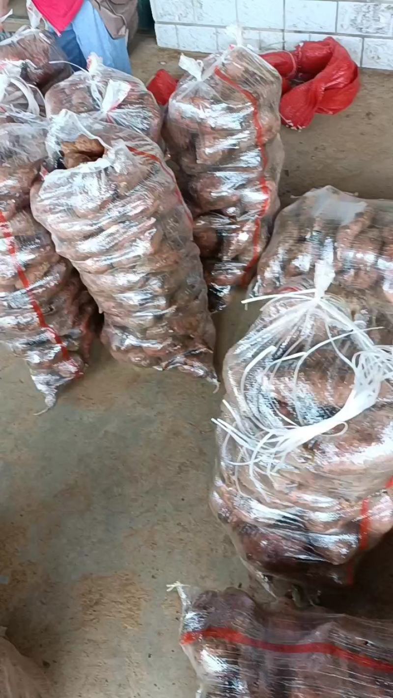 襄州区精品龙九！每天大量走货中！电商市场营销模式！
