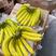 青蕉，二黄蕉，菲利宾香蕉常年供应欢迎各地批发商超合作共赢