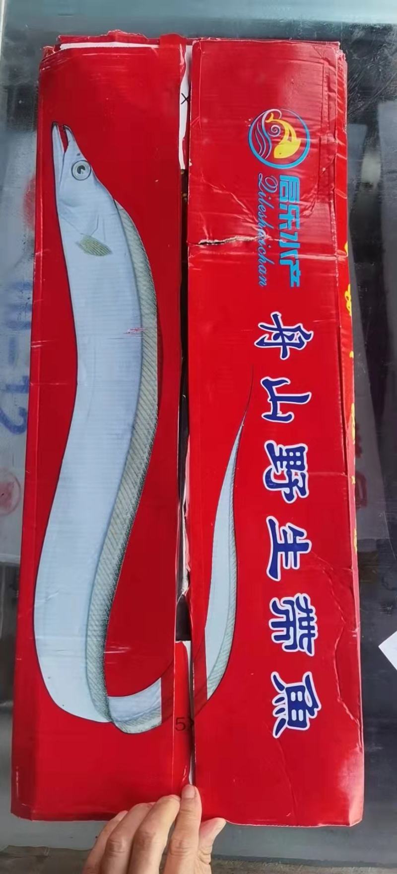 彩盒带内袋刀鱼