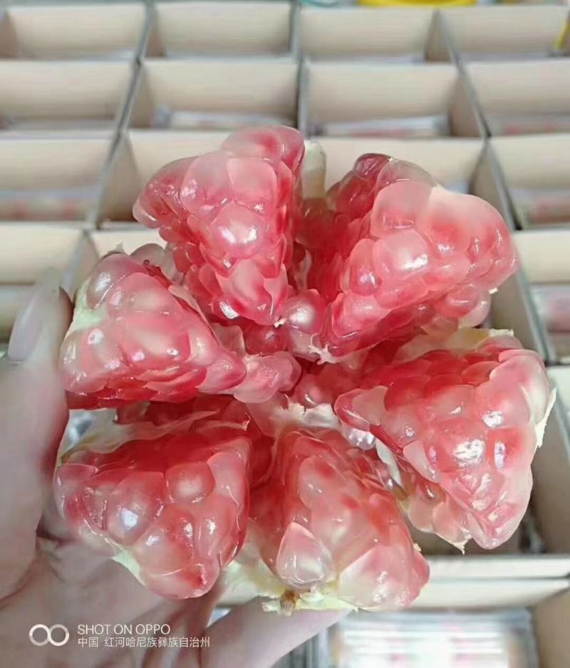 蒙自绿籽老树石榴隆重上市