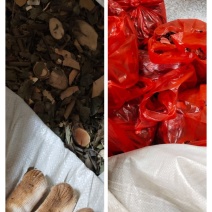 月药，射水