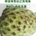 【有好货一件代发】凤梨释迦5斤包邮包售后一件代发