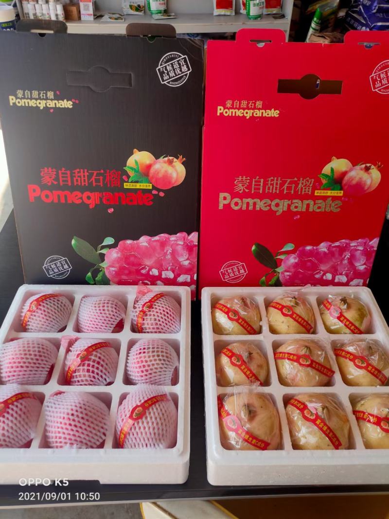蒙自绿籽老树石榴隆重上市
