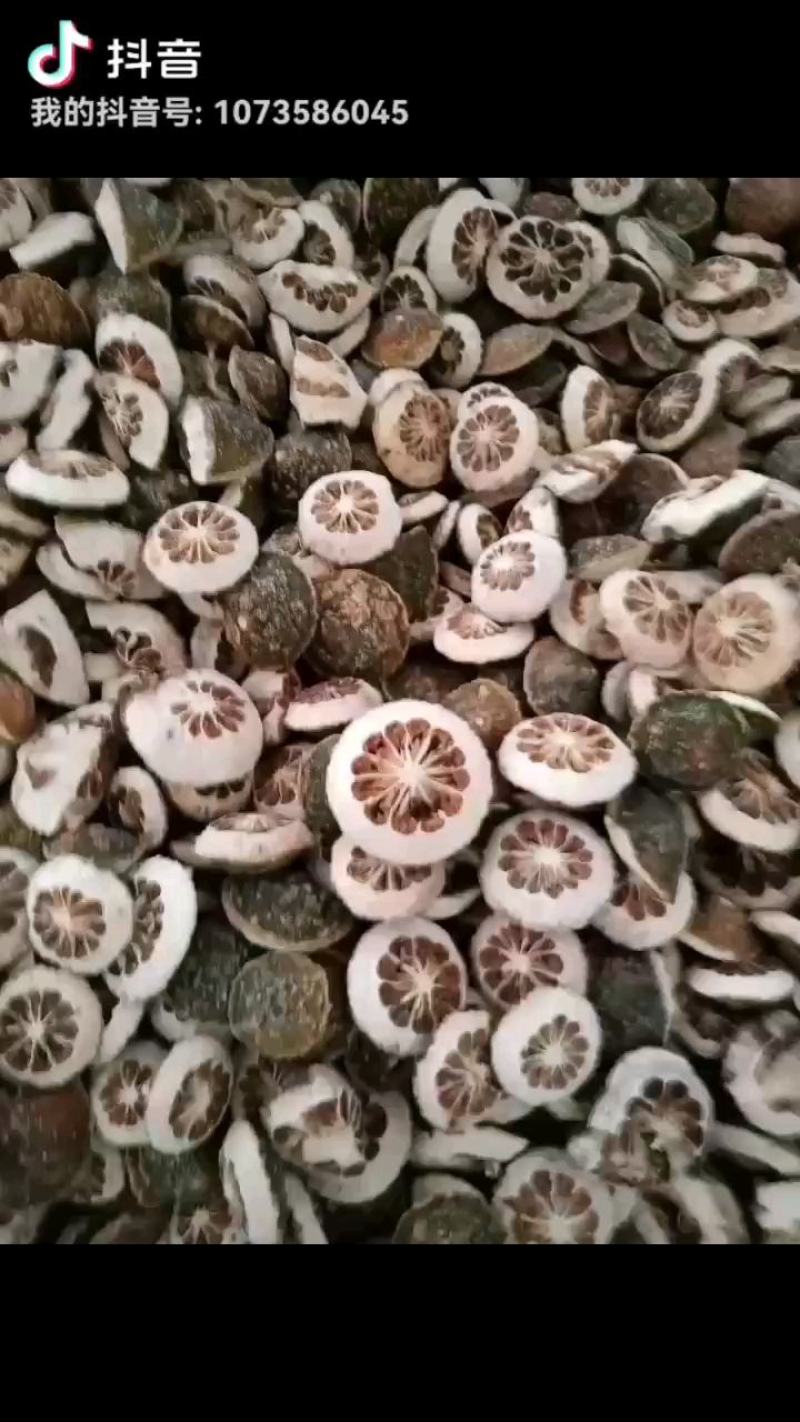 寻百草中药材枳壳中药积壳中草药麸炒枳壳500g另有积实炒