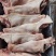新货，新开检疫，18公斤7-8片鸿运当头，猪头肉
