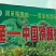 秦美猕猴秦岭山脚下优质猕猴桃种植地区中国猕猴桃之乡
