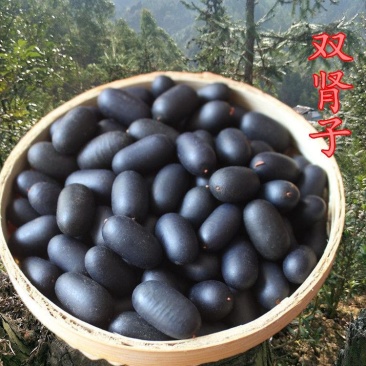 精选双肾子肾果高品质苦石莲子龙凤籽阴阳子过江龙子木腰子泡