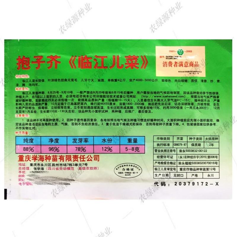 四川儿菜种子芥菜种籽抱子芥菜娃娃菜临江儿菜秋季农家田园蔬