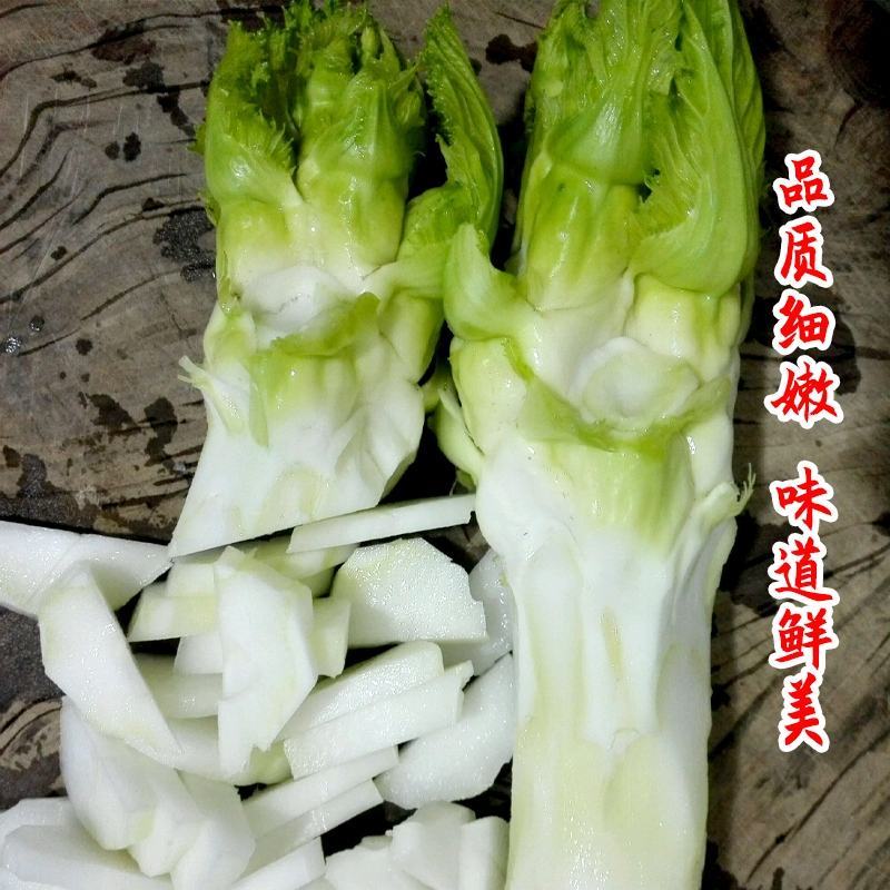 四川儿菜种子芥菜种籽抱子芥菜娃娃菜临江儿菜秋季农家田园蔬