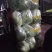 大白菜，质量好，价格低，货源充足欢迎下单