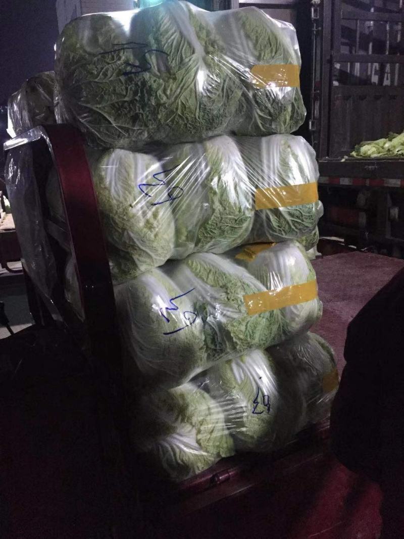 大白菜，质量好，价格低，货源充足欢迎下单