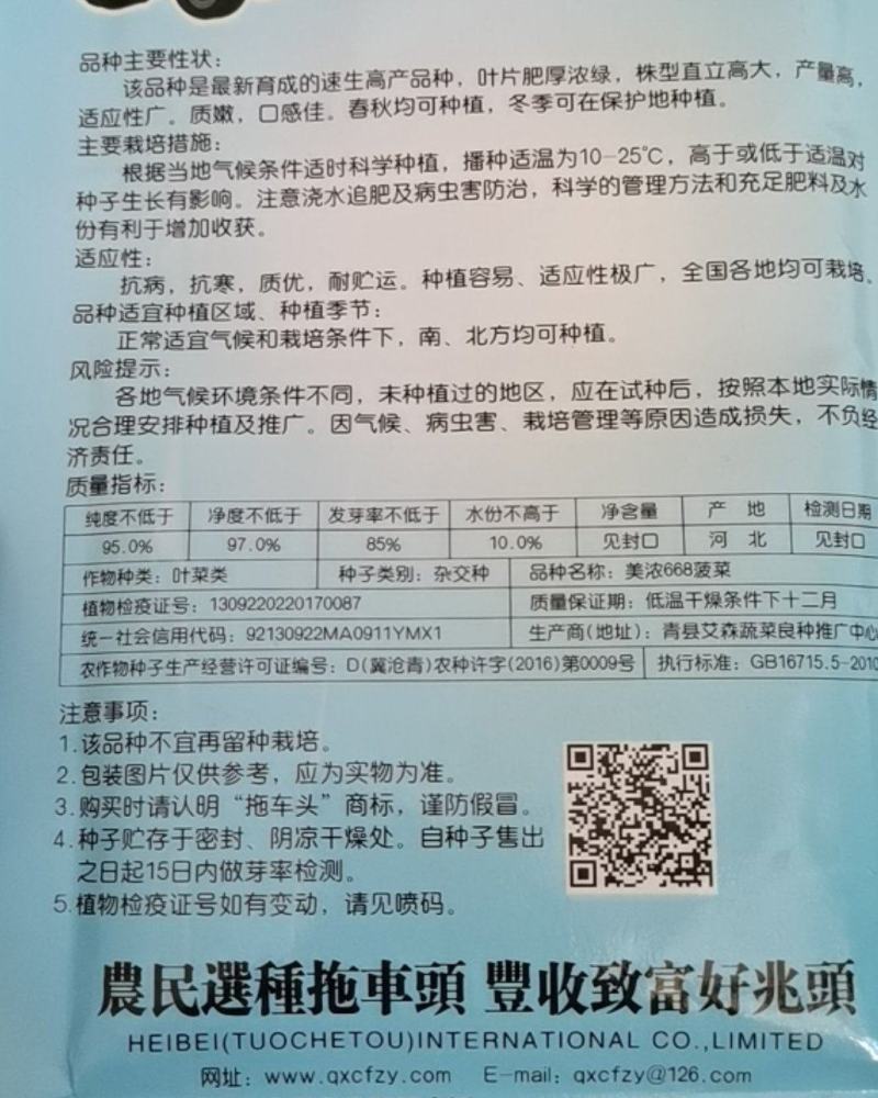 拖车头美浓668菠菜种子大圆叶厚嫩耐寒春秋冬播速生小菜园