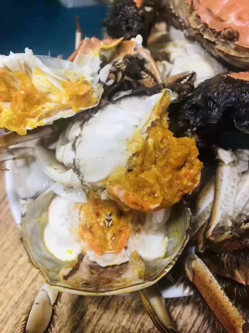 河蟹，六月黄