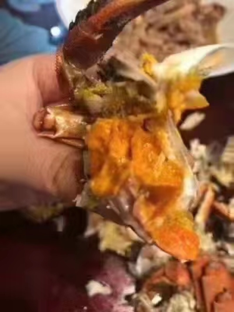 河蟹，六月黄