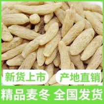 2026川麦冬新货无硫无杂质产地货源充足，常年供货