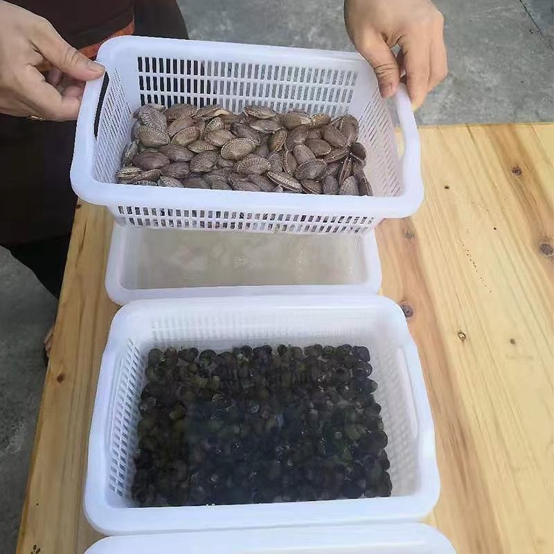 食品级材料的方筛方盘