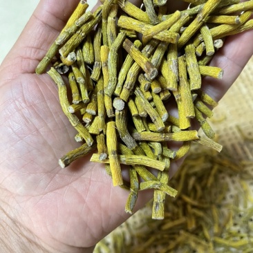 霍山铁皮石斛寸金，一件代发，合作社自产自销