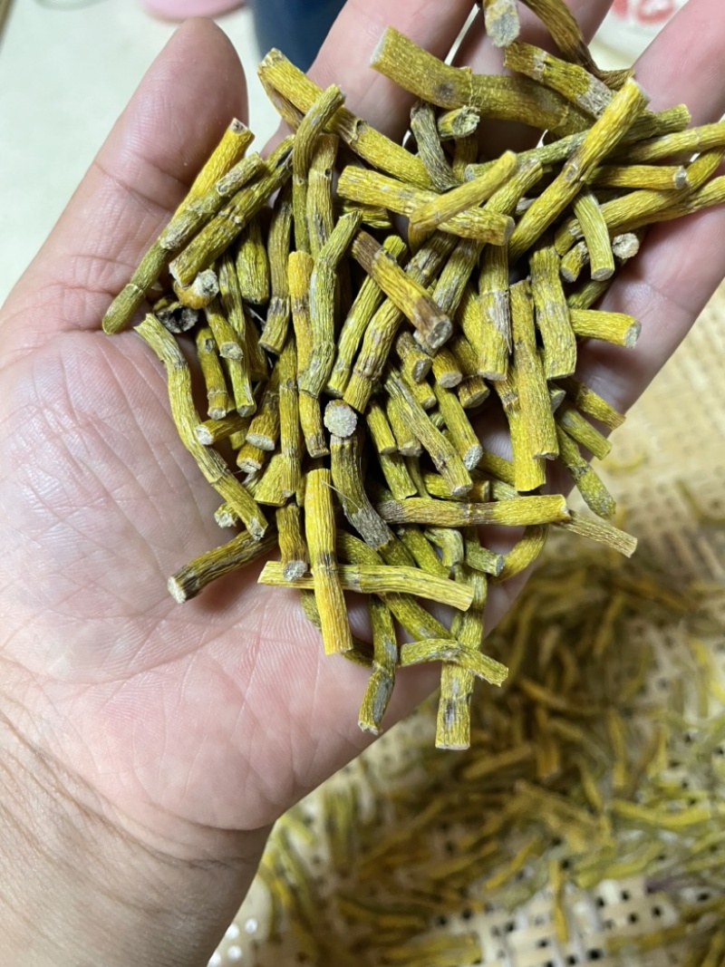 霍山铁皮石斛寸金，一件代发，合作社自产自销