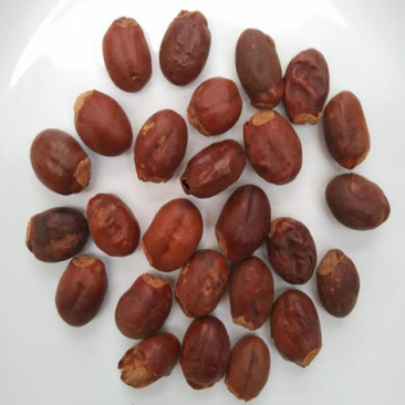 荔枝核，中药材荔枝核质量保证现货供应欢迎咨询合作！