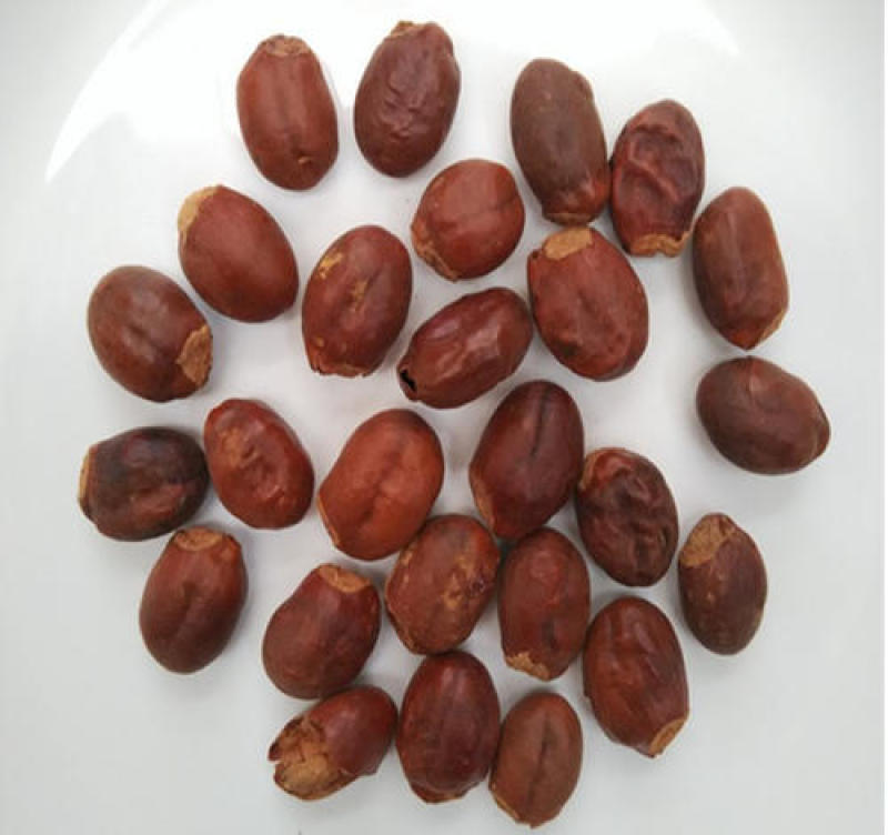 荔枝核，中药材荔枝核质量保证现货供应欢迎咨询合作！