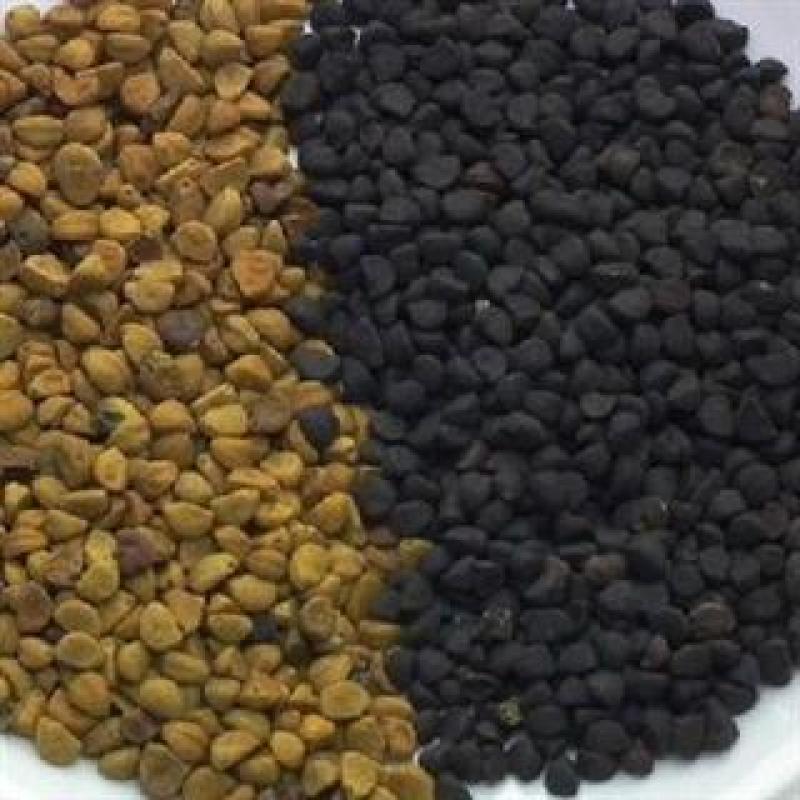 牵牛子，黑白丑野生新货质量保证现货供应欢迎咨询合作！