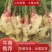 山东红芽鲜姜大量上市了，货源充足，全国发货，保质保量
