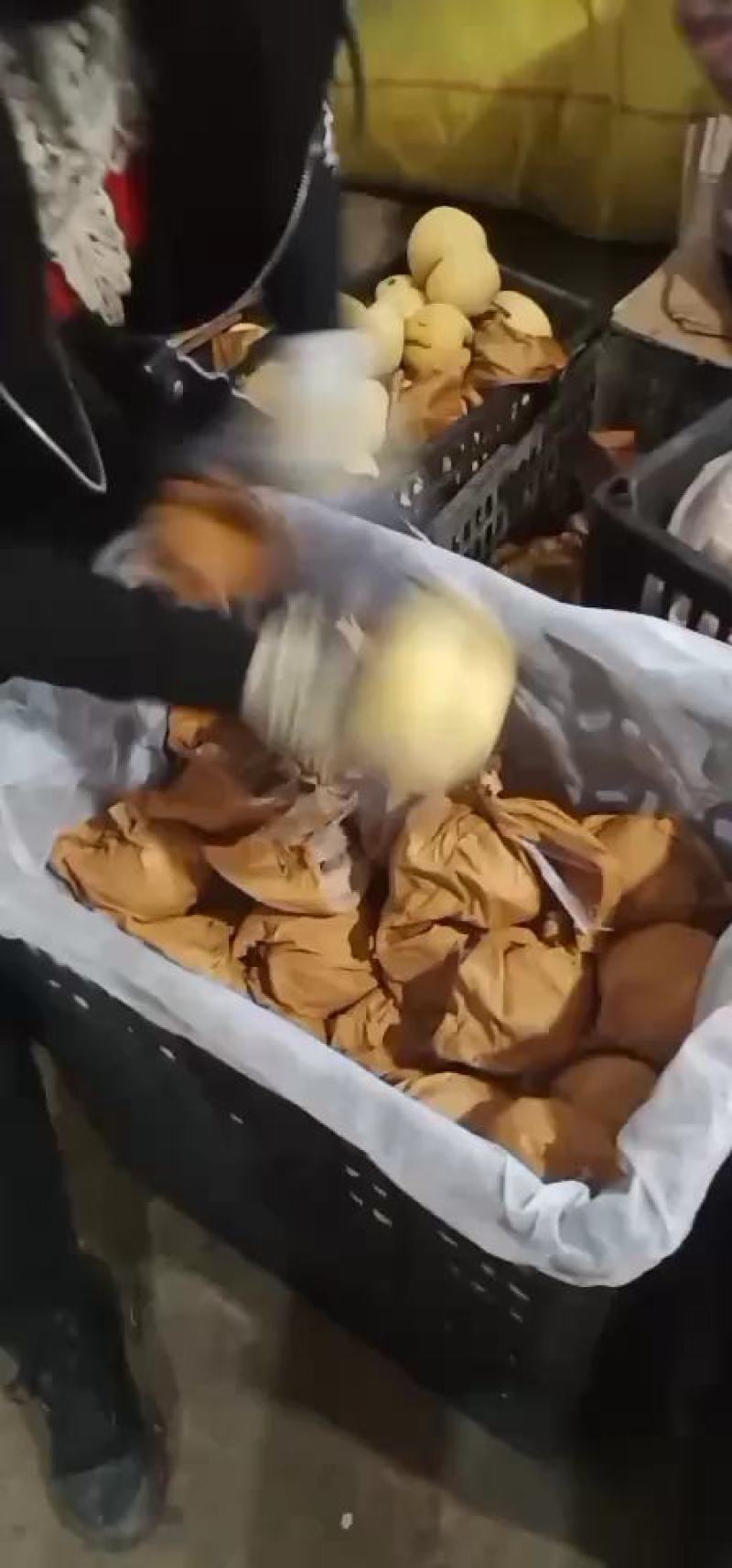 蒲城优质高原酥梨