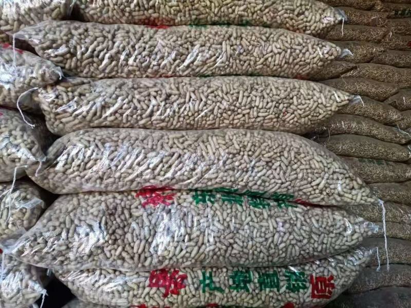 【推荐】白城市洮南本地四粒红色选果花生质量保证合作共赢