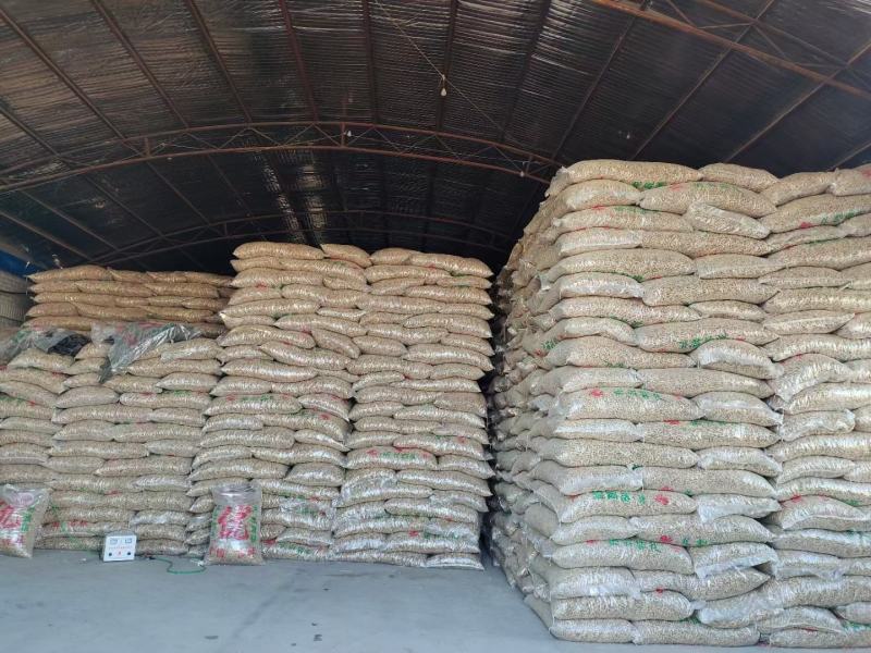 【推荐】白城市洮南本地四粒红色选果花生质量保证合作共赢
