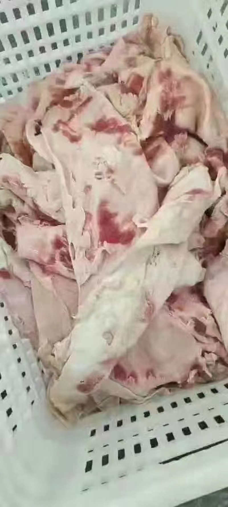 牛腩筋精修无油品质高质量好厂家直销质量好价格低欢迎联系