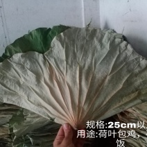 荷叶包鸡荷叶茶，荷叶药材荷叶饭