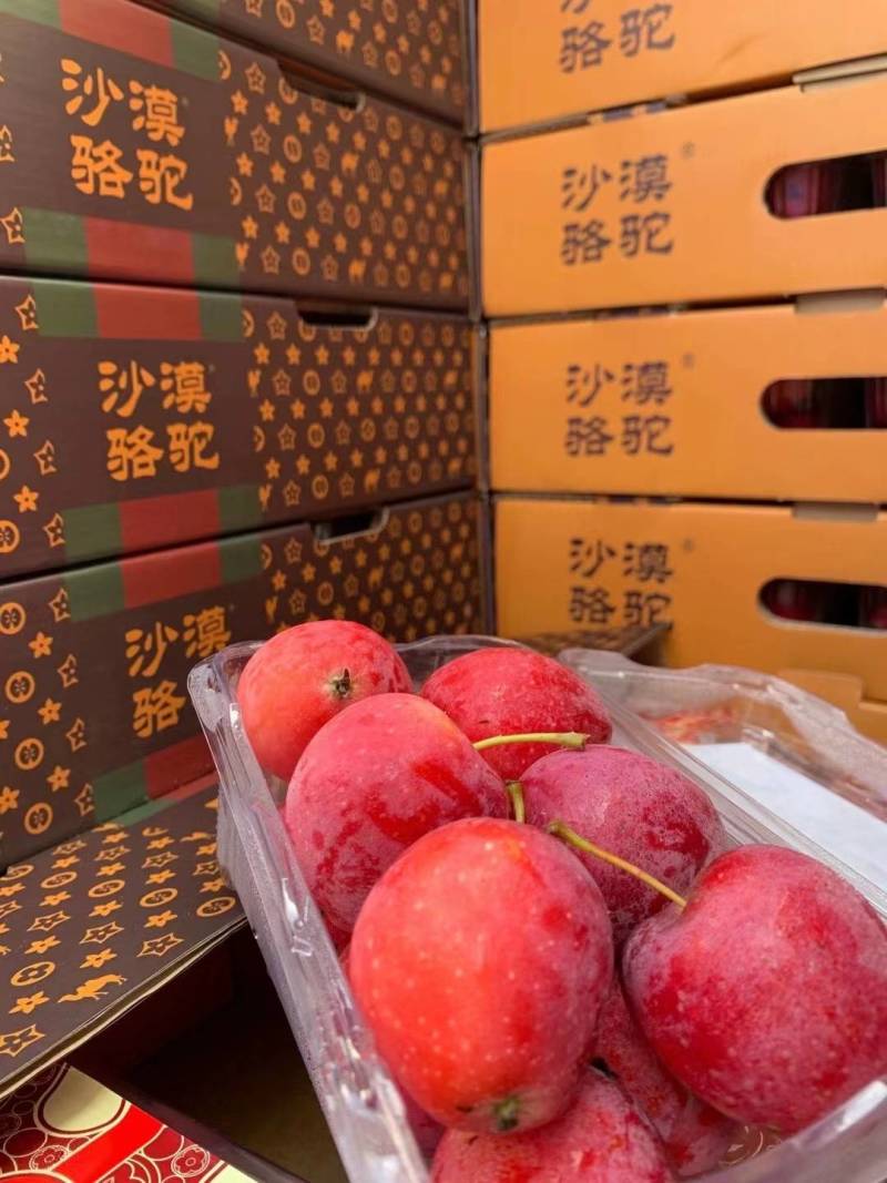 鸡心果锦绣海棠红海棠小苹果
