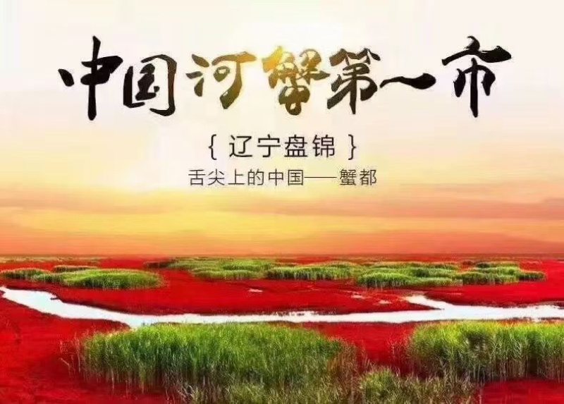 正宗盘锦稻田蟹产地直发