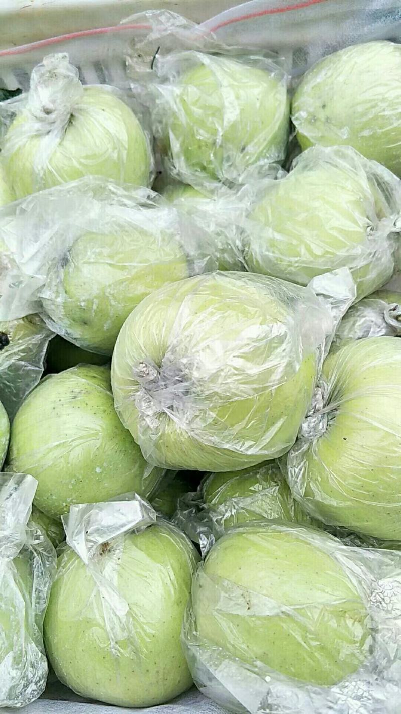 各品种苹果大量低价出售