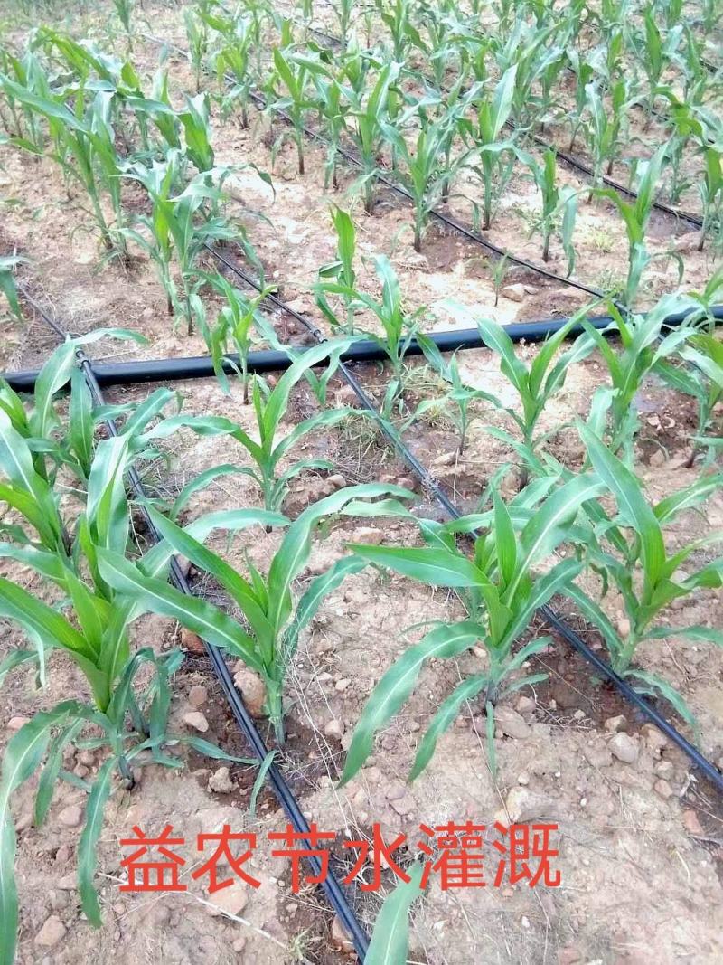 滴灌喷灌内镶圆柱滴灌管优选原料新型生产线